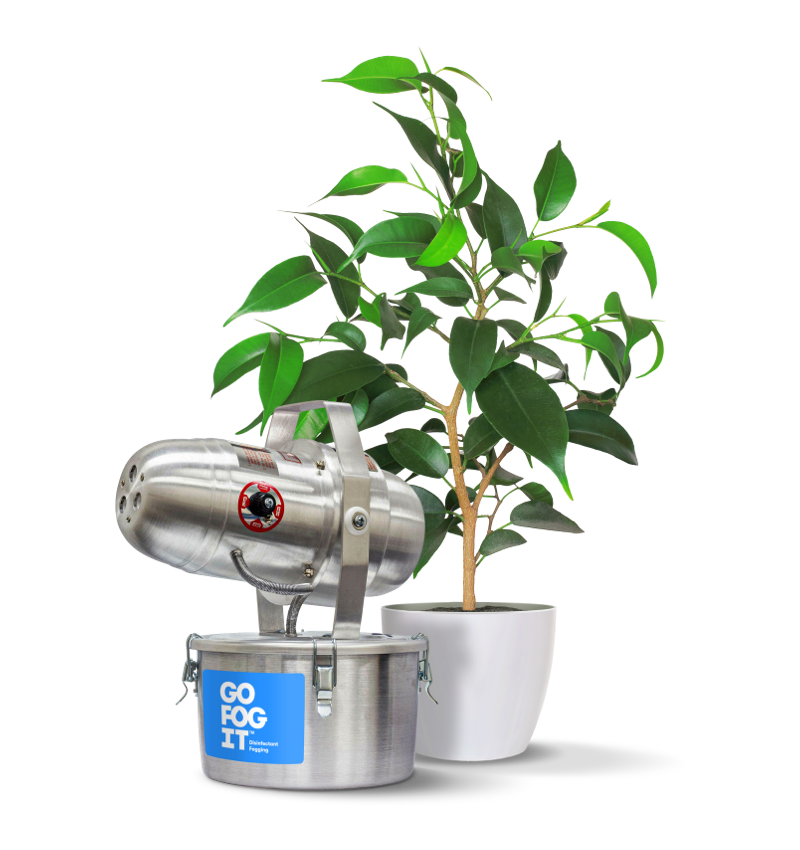 Image of a fogger and a plant